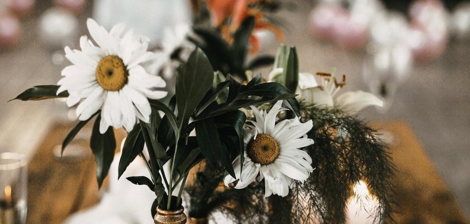 Table decoration with white daisies in gold-coloured vases, white candles and loosely draped white fabric on wooden table in the background blurred further tables with similar decoration