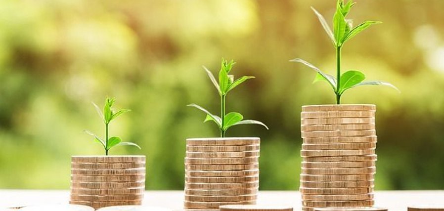 Three stacks of coins in ascending height, each with a small plant with green leaves growing on it. Blurred green nature in the background.
