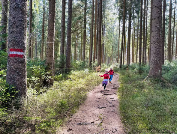 Two children in red clothing run along a forest path between tall conifers, a tree trunk bears a red and white marker