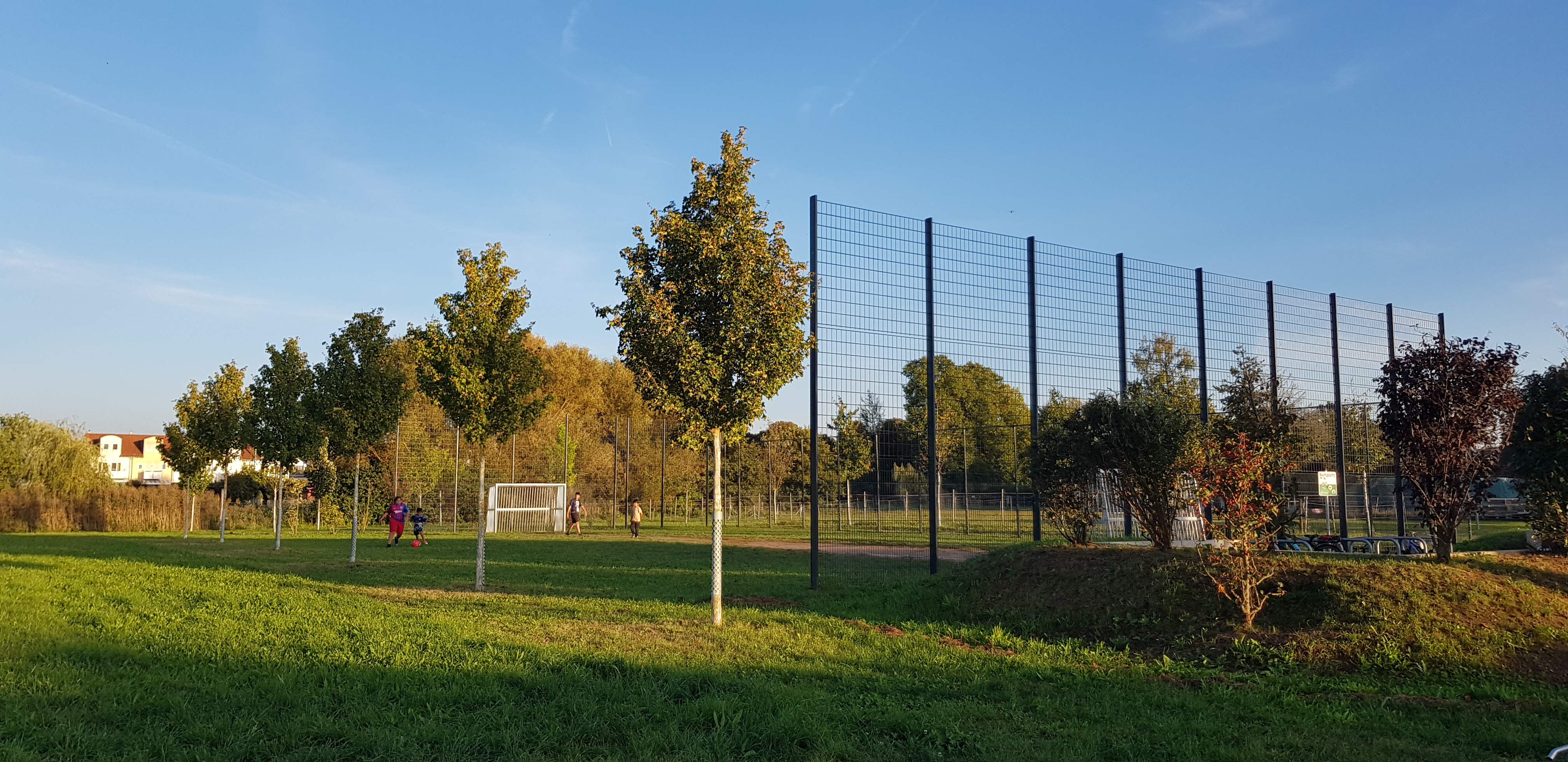 Football pitch with football goal and high fence, surrounded by young trees and meadow on Heinrich-Sahm-Straße