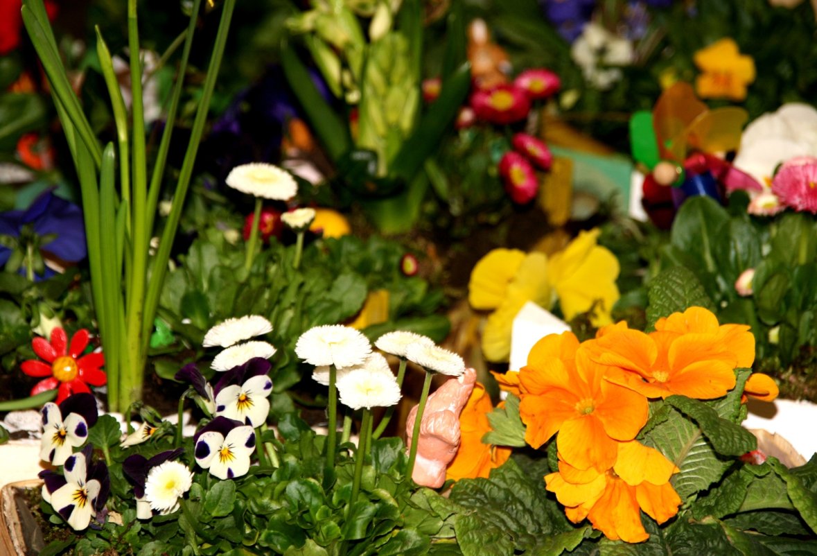 Primo piano di vari fiori colorati al mercato di Pasqua con fiori gialli, bianchi e viola
