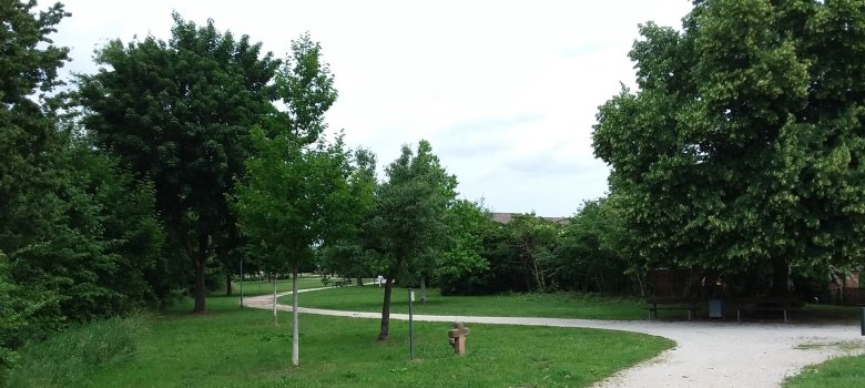 Lutherpark Das Bild zeigt einen geschwungenen Weg umrandet mit grünen Wiesen und Bäumen im Lutherpark Dudenhofen.