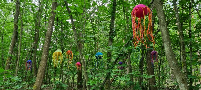 La foresta di Nieder-Roden con una mostra d'arte Foresta verde a Nieder-Roden con opere d'arte colorate sugli alberi