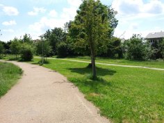Chodnik w Rodaupark pomiędzy dwoma terenami zielonymi
