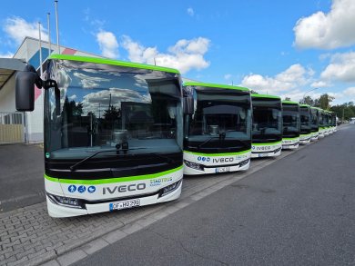 Yeşil tavan kenarlarına sahip Iveco marka birkaç beyaz şehir otobüsü, bir otoparkta sıra halinde duruyor