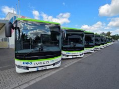Автобуси комунального підприємства Кілька білих міських автобусів марки Iveco із зеленим краєм даху стоять у ряд на стоянці