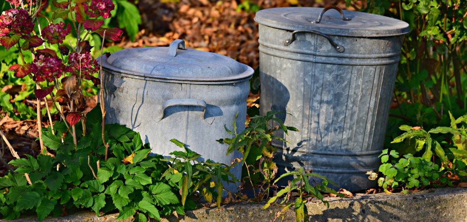 Zwei graue Metallmülltonnen mit Deckeln stehen zwischen grünen Pflanzen und rosa Blüten auf einem Holzstamm.