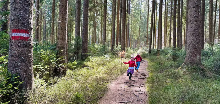 Zwei Kinder in roter Kleidung laufen auf einem Waldweg zwischen hohen Nadelbäumen, ein Baumstamm trägt eine rot-weiße Markierung