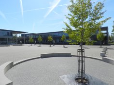 Blick über den Schulhof mit Bäumen und dem Schulgebäude sowie der Aula der Georg-Büchner-Schule