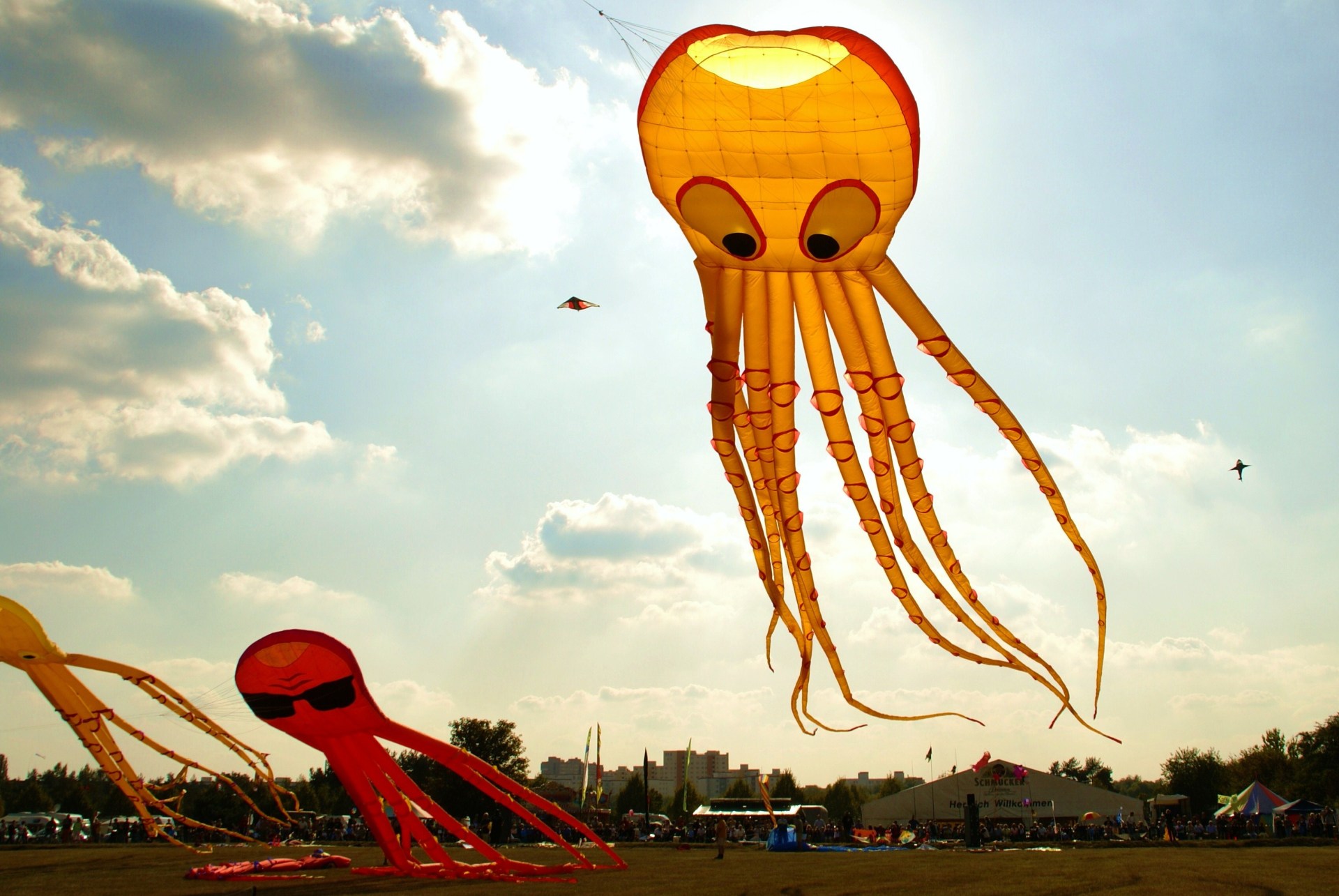 Oktopus-Drachen sind neben kleineren Drachen am Himmel vor der Skyline in Nieder-Roden beim Drachenfest zu sehen.