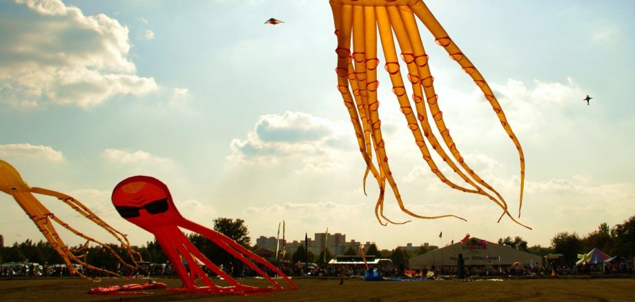 Oktopus-Drachen am Drachenfest Oktopus-Drachen sind neben kleineren Drachen am Himmel vor der Skyline in Nieder-Roden beim Drachenfest zu sehen.