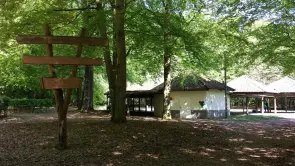 Holzhütte umgeben von Bäumen in der Waldfreizeitanlage