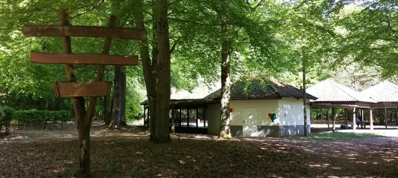 Waldfreizeitanlage Holzhütte umgeben von Bäumen in der Waldfreizeitanlage