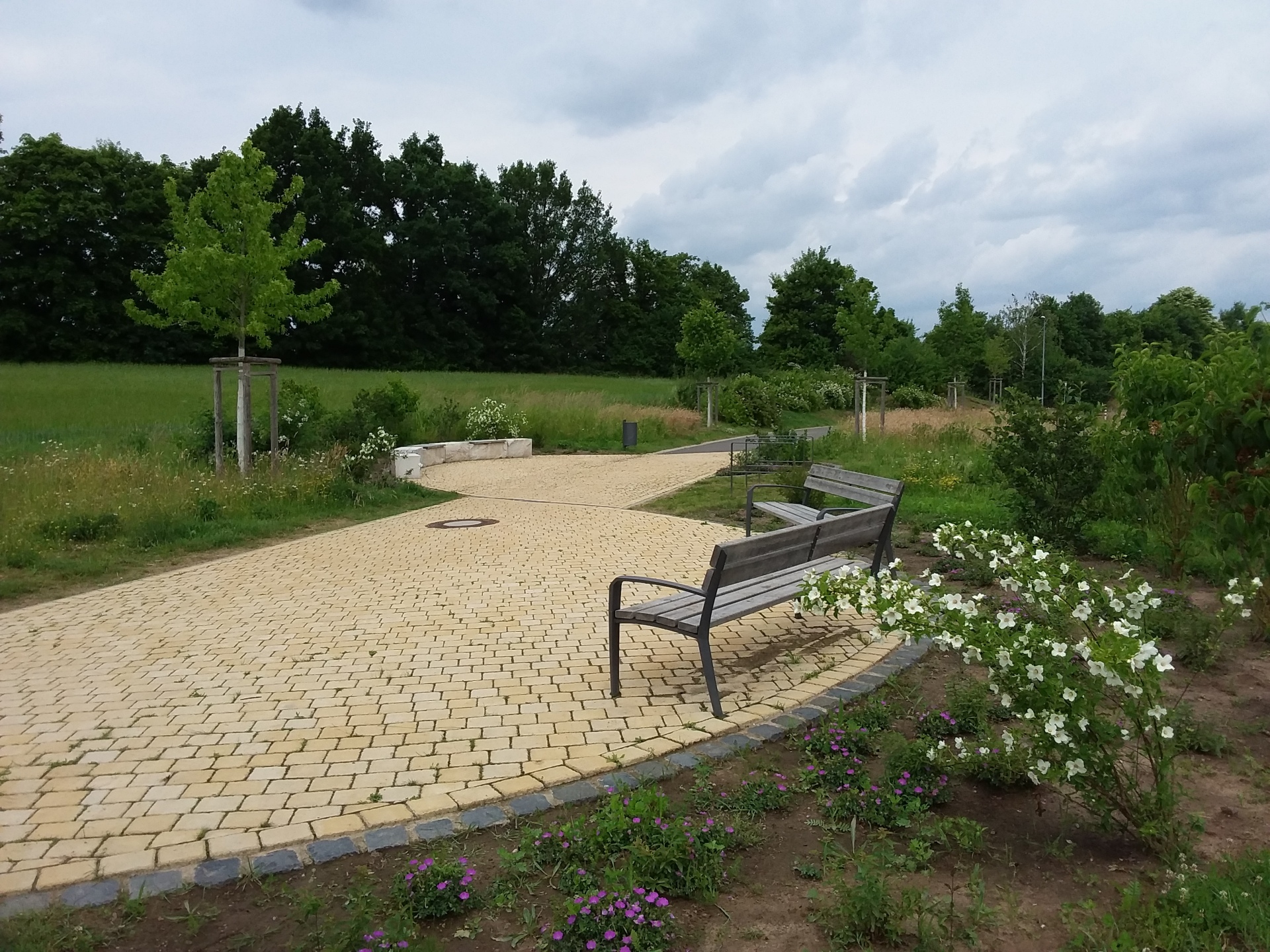 Amberpark Im Vordergrund sind zwei hell geplasterte kleine Verweilbereiche mit Beton-Sitzgelegenheiten und zwei Bänken und Blumenrabatten. Im Hintergrund ist ein Feld und Bäume.