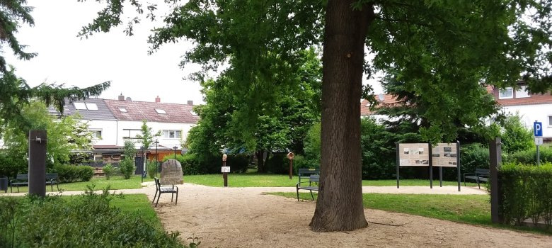 Gedenkstätte Lager Rollwald Ein großer Weg zieht sich durch das parkähnliche Gelände der Gedenkstätte Rollwald. In der Mitte rechts steht ein großer Baum. Auf den Wiesen sind Kunstwerke und Infotafeln.