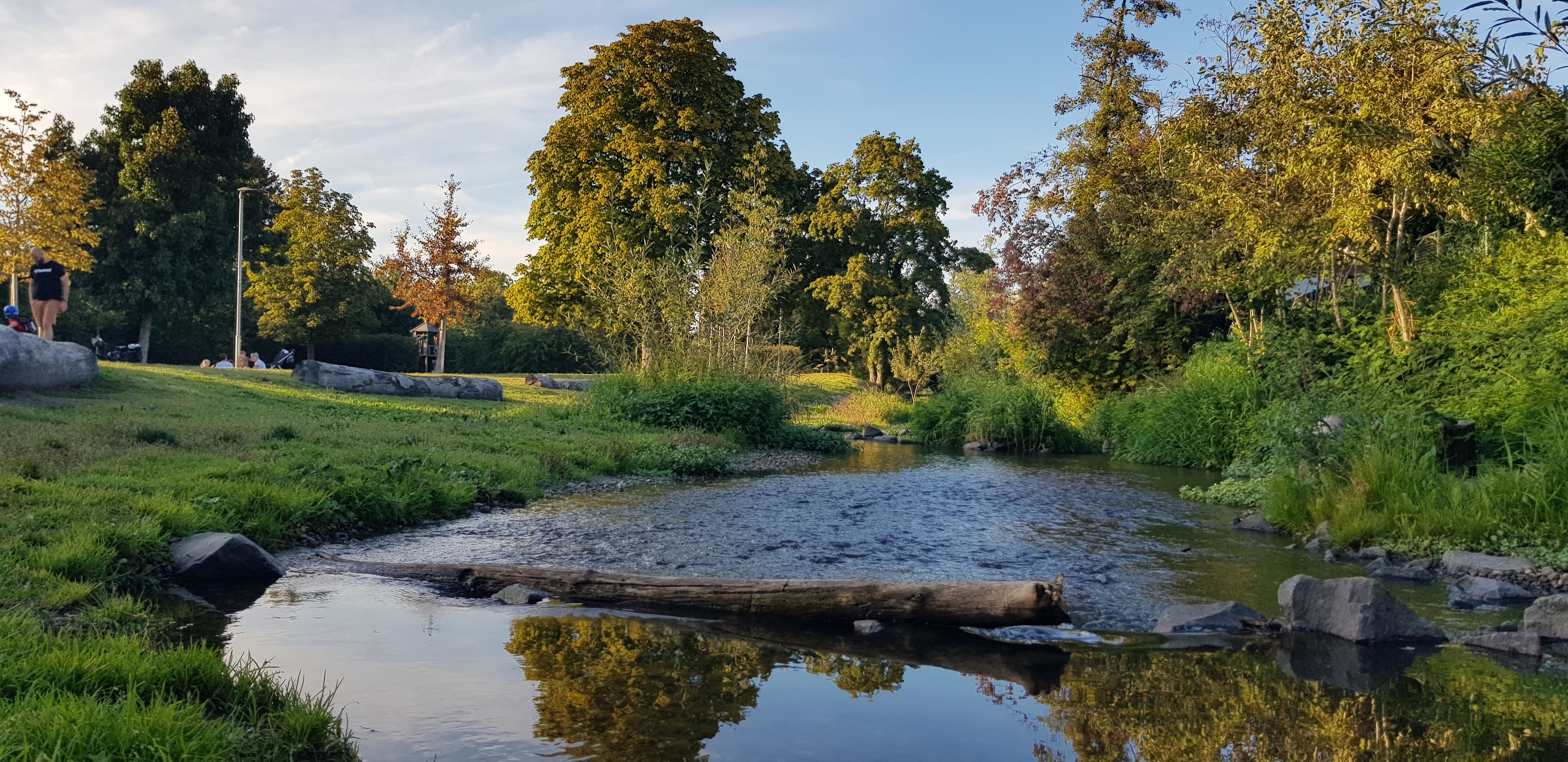 Perspektive aus der Rodau auf den weiteren Verlauf mit Bäumen des Rodauparks im Hintergrund